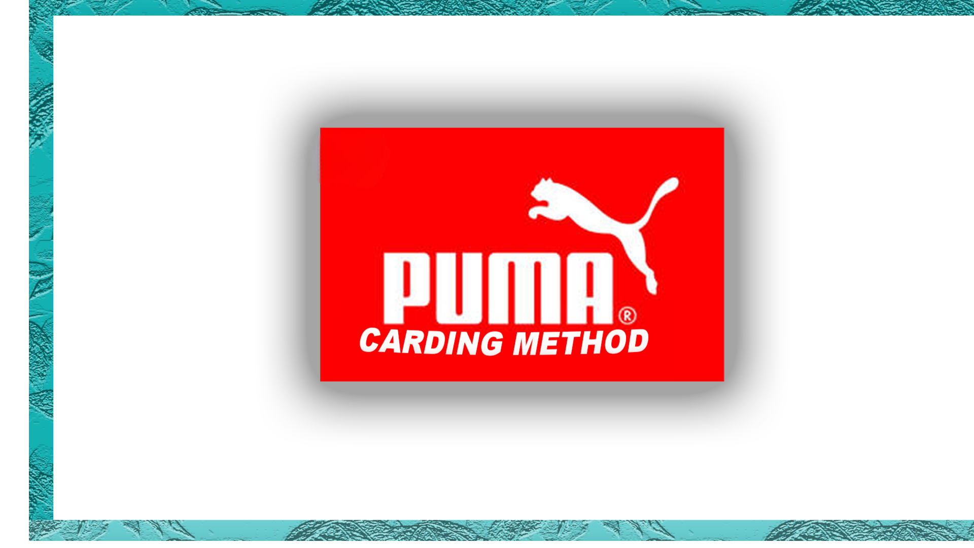 Puma Carding Method